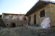هدفگذاری مقاوم‌سازی سالانه ۲۰۰ هزار مسکن روستایی در برنامه ۵ ساله بنیاد مسکن